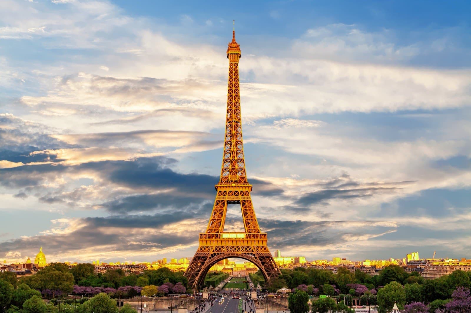The Eiffel Tower rising above Paris rooftops in daylight