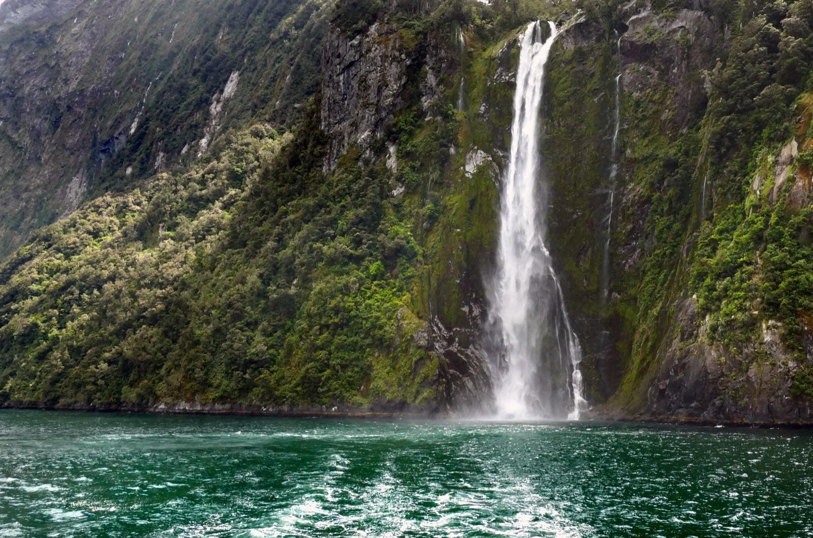 Stirling Falls dropping into Milford Sound, framed by steep forested cliffs
